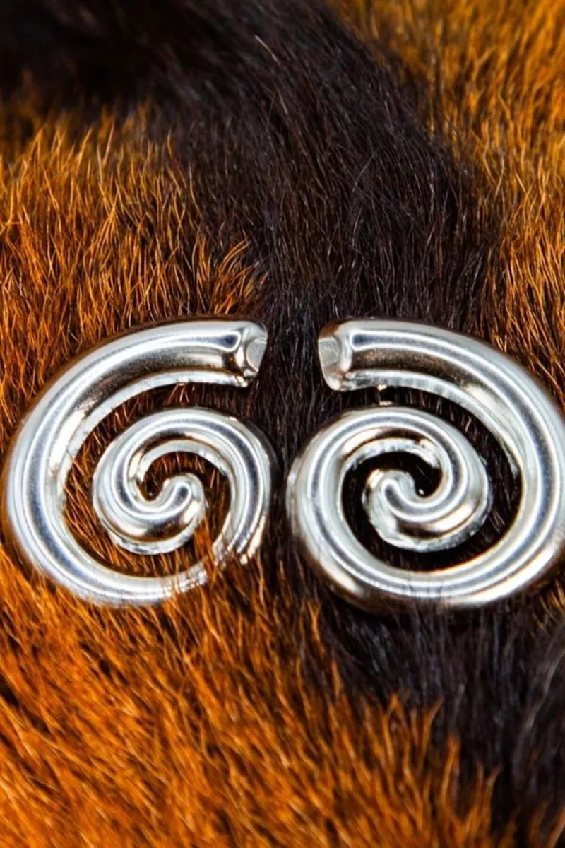 Spiral Formlu Çelik Küpe - görsel 3